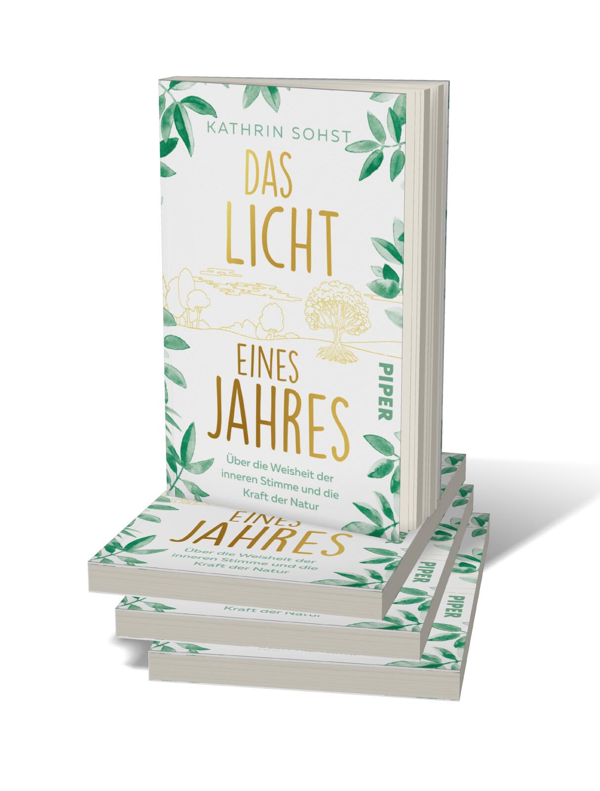 Das Licht eines Jahres