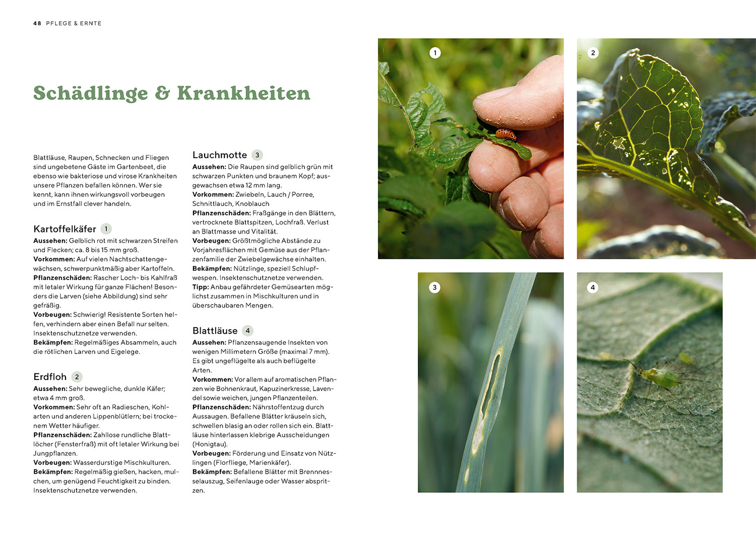 Biogärtnern