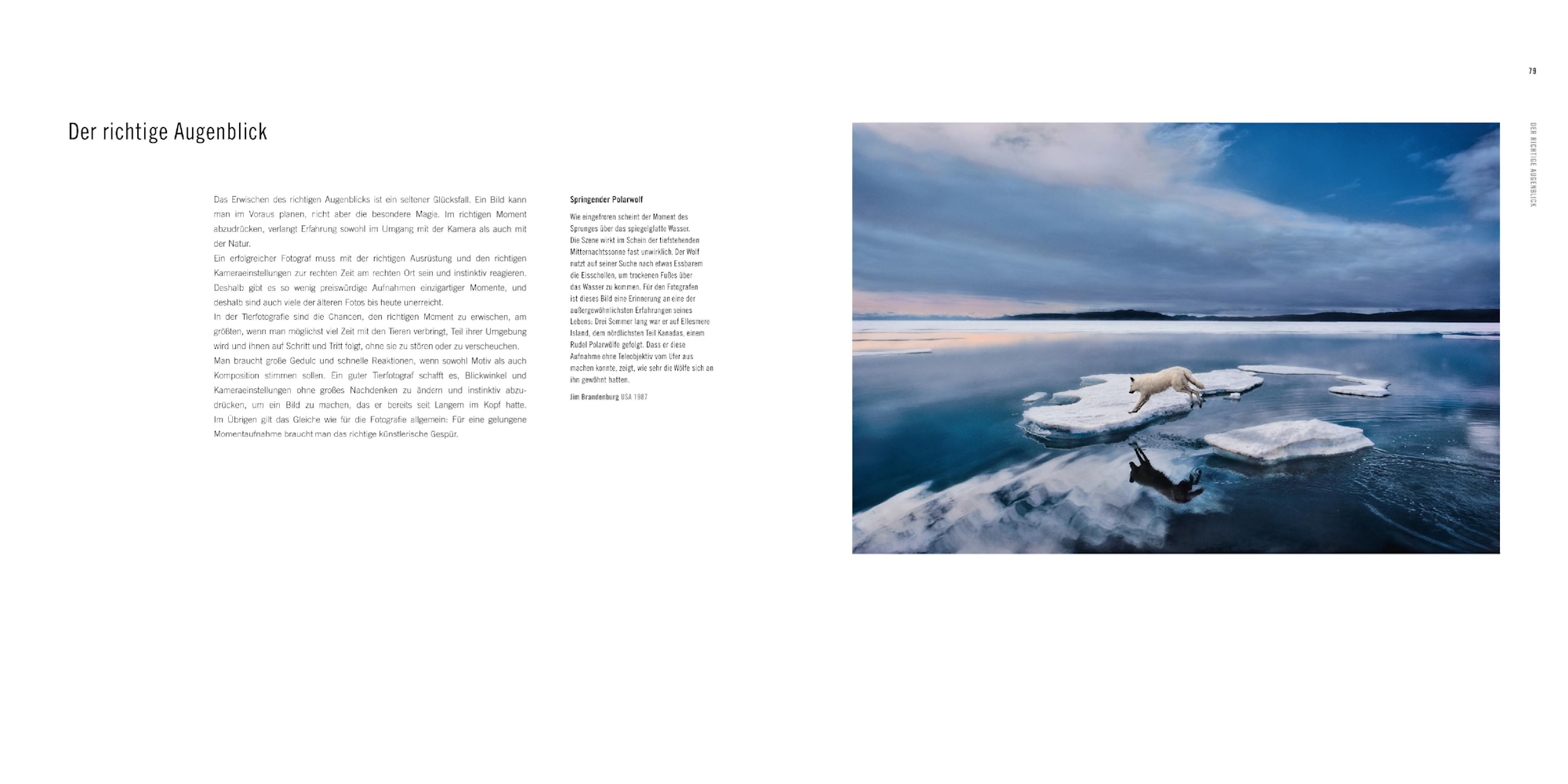 60 Jahre Wildlife Fotografien des Jahres