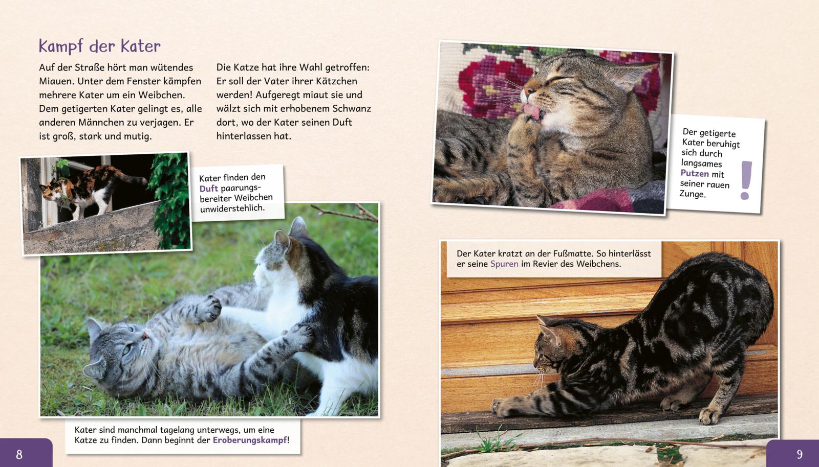Meine große Tierbibliothek: Die Katze