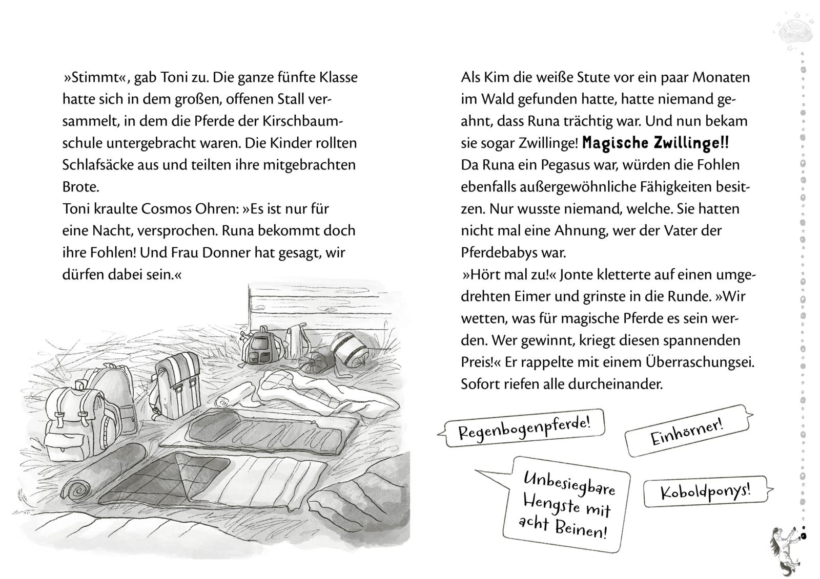 Die Schule der Herzenspferde 3: Zorro & Elin