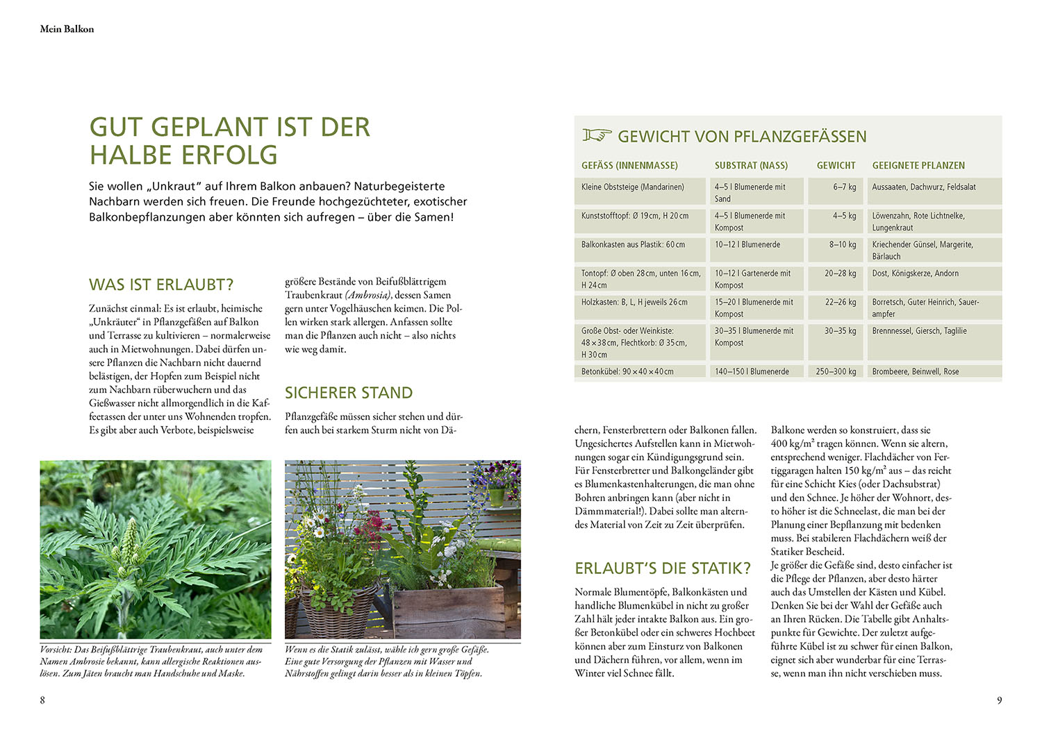 Wildkräuter in Töpfen & Kübeln