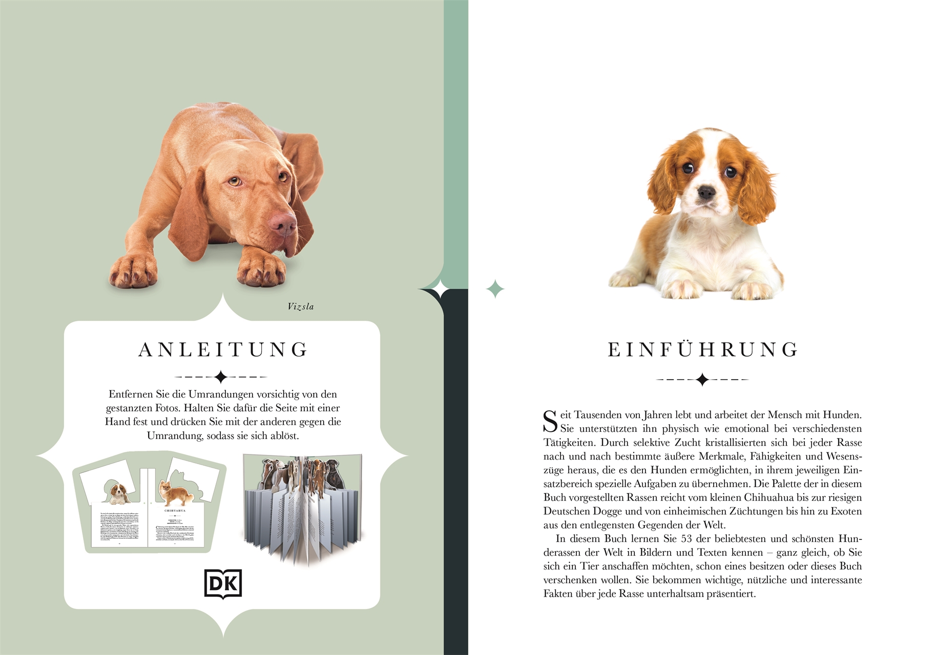Naturelove. 50 besondere Hunde