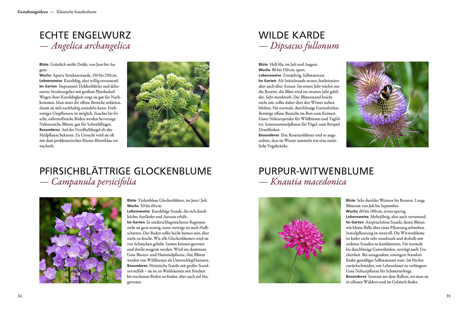 Der antiautoritäre Garten