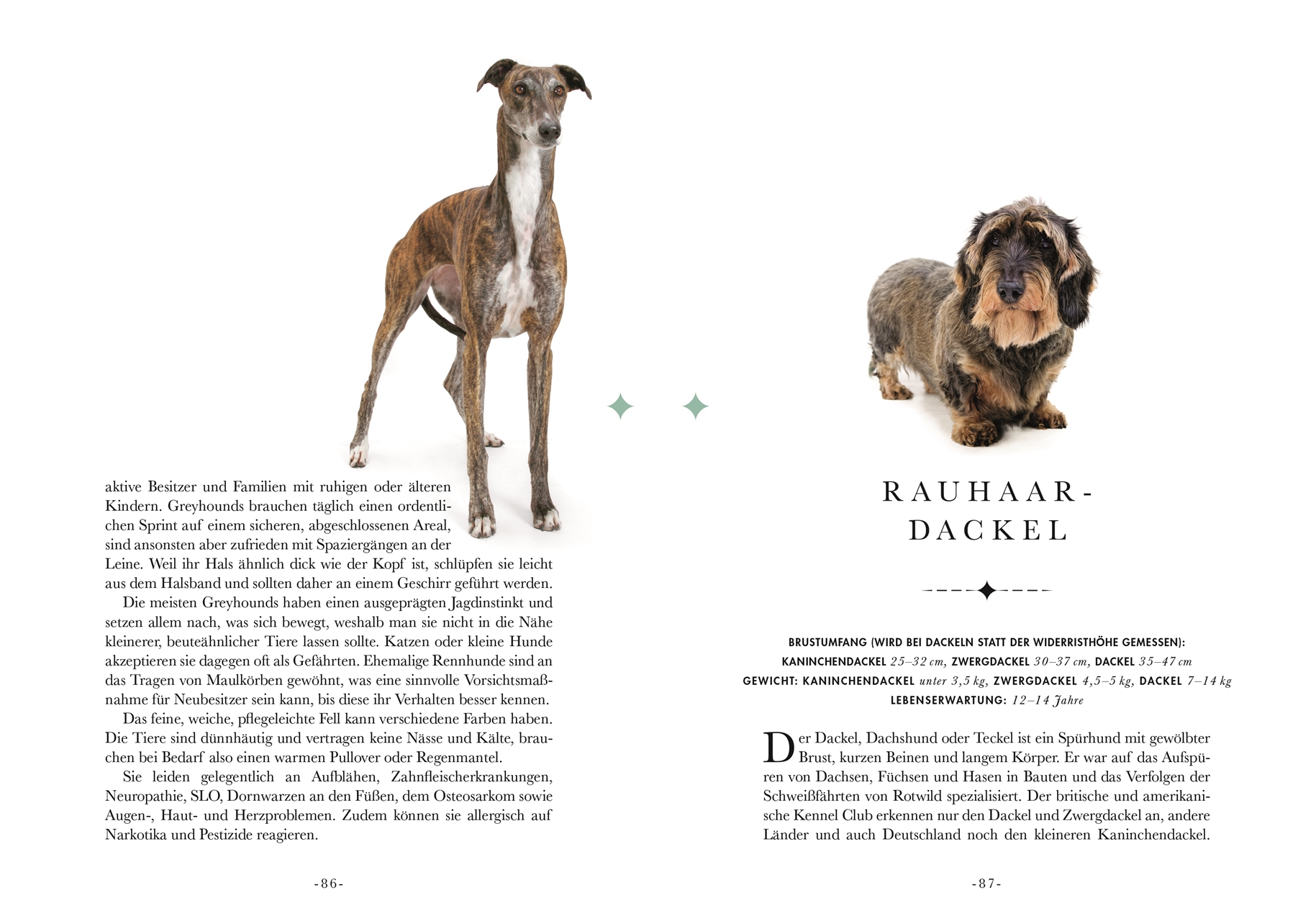 Naturelove. 50 besondere Hunde
