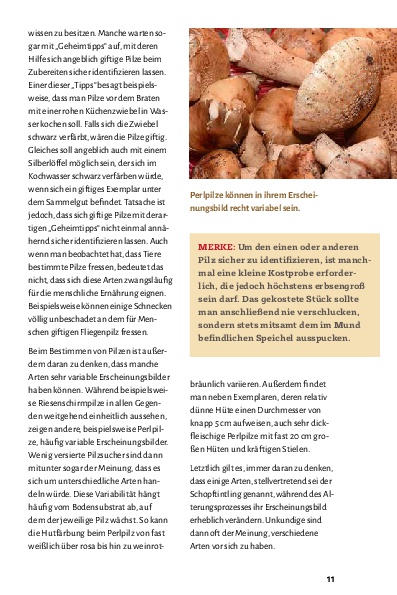 Pilze bestimmen - Der kleine Pilzführer für Einsteiger und Fortgeschrittene