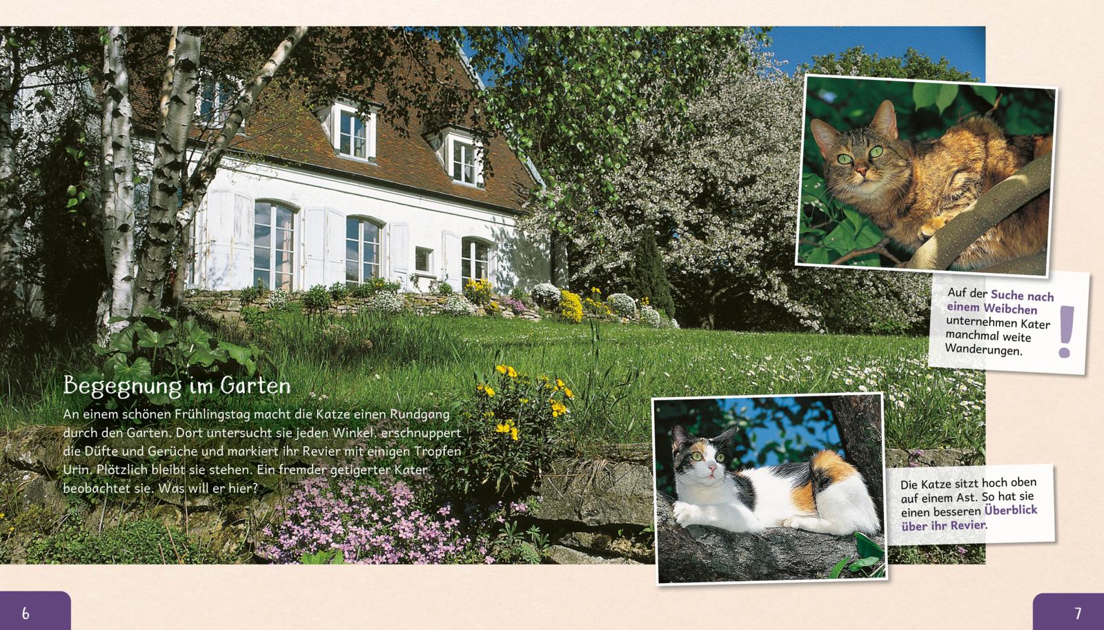 Meine große Tierbibliothek: Die Katze