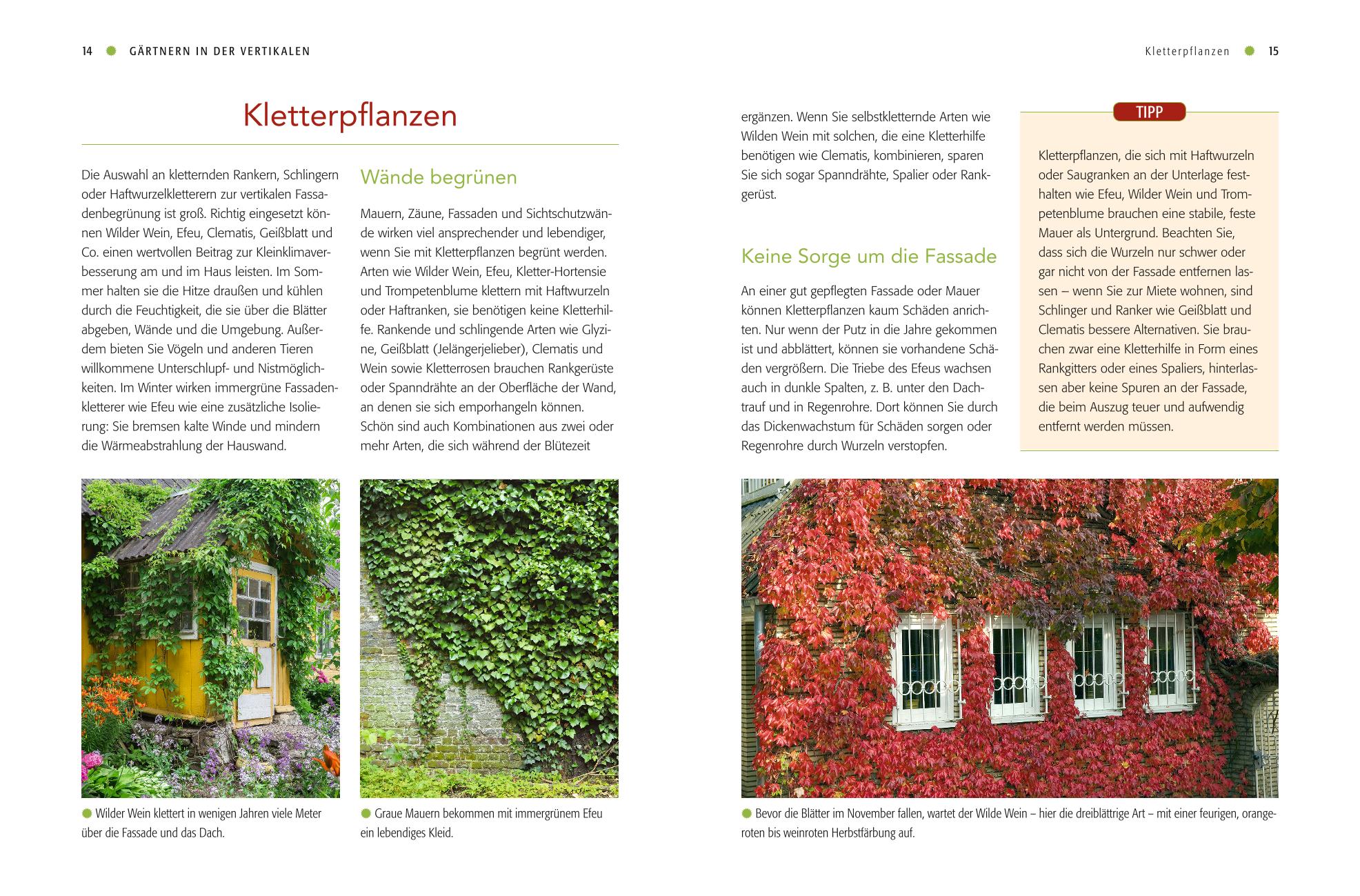 Vertical gardening