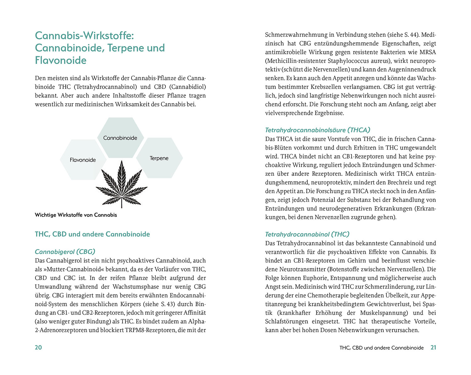 Patientenratgeber: Cannabis