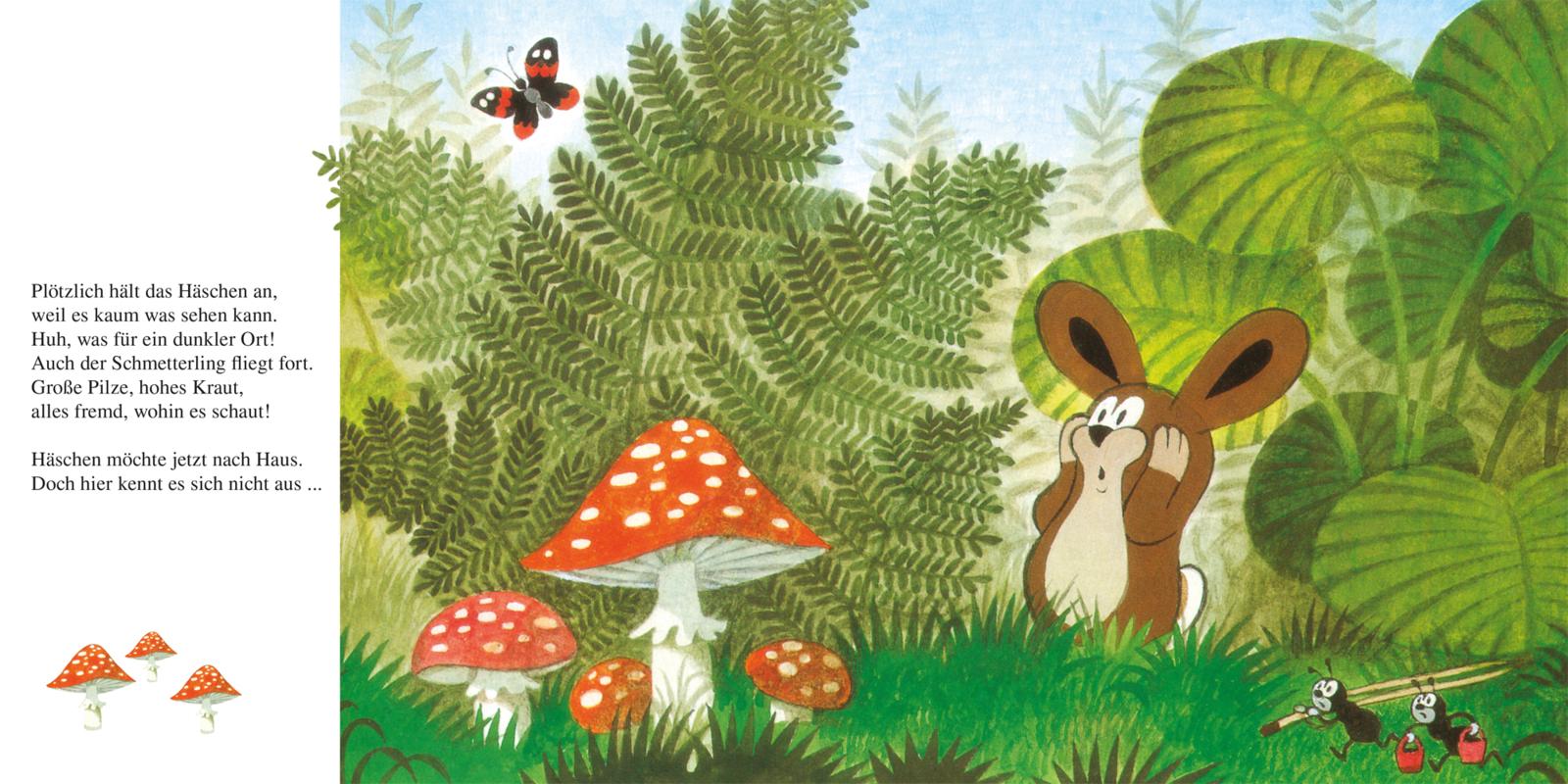 Der kleine Maulwurf rettet das Häschen