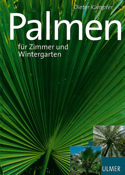 Palmen