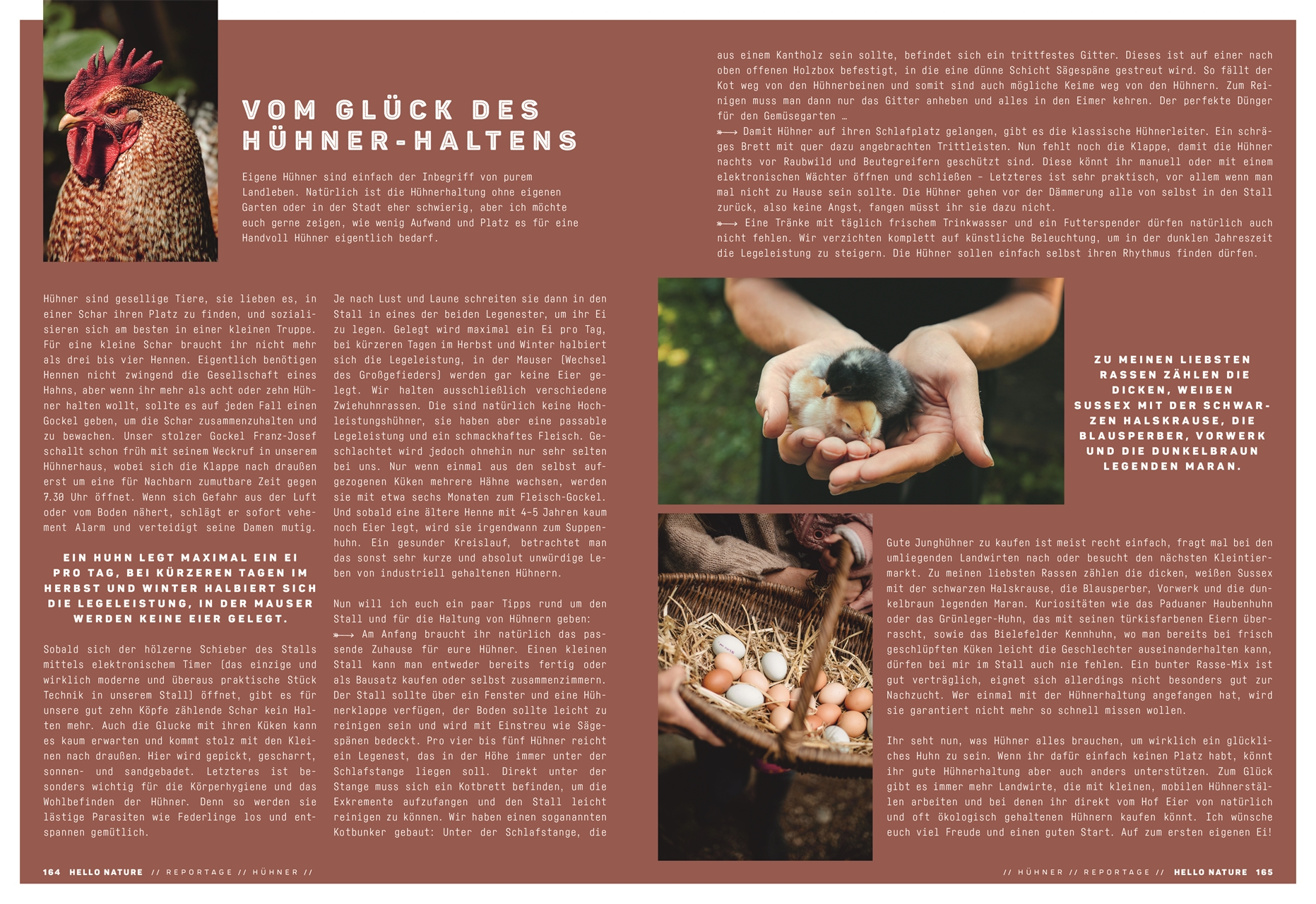 The Great Outdoors – Hello Nature