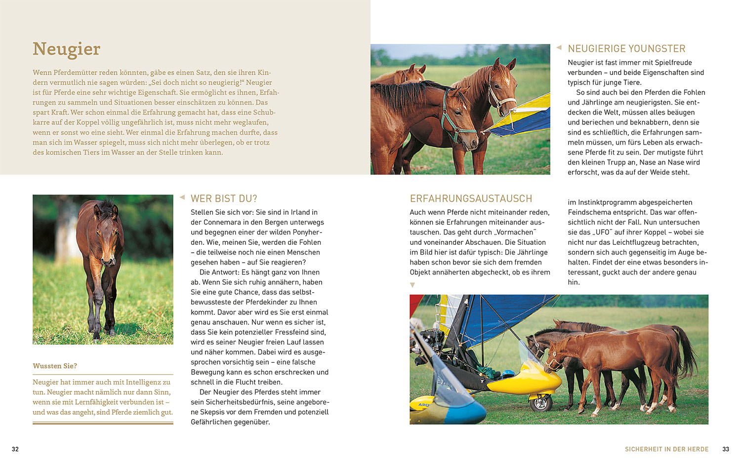 Pferde verstehen, erziehen und reiten