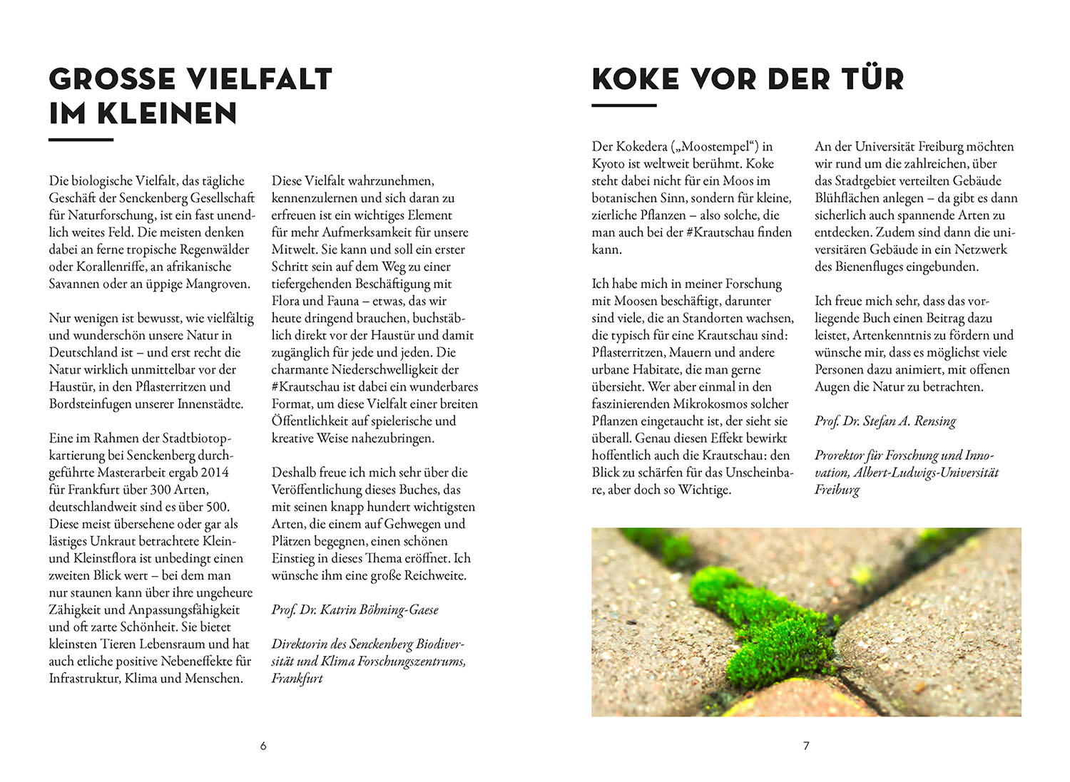Das wächst in deiner Stadt