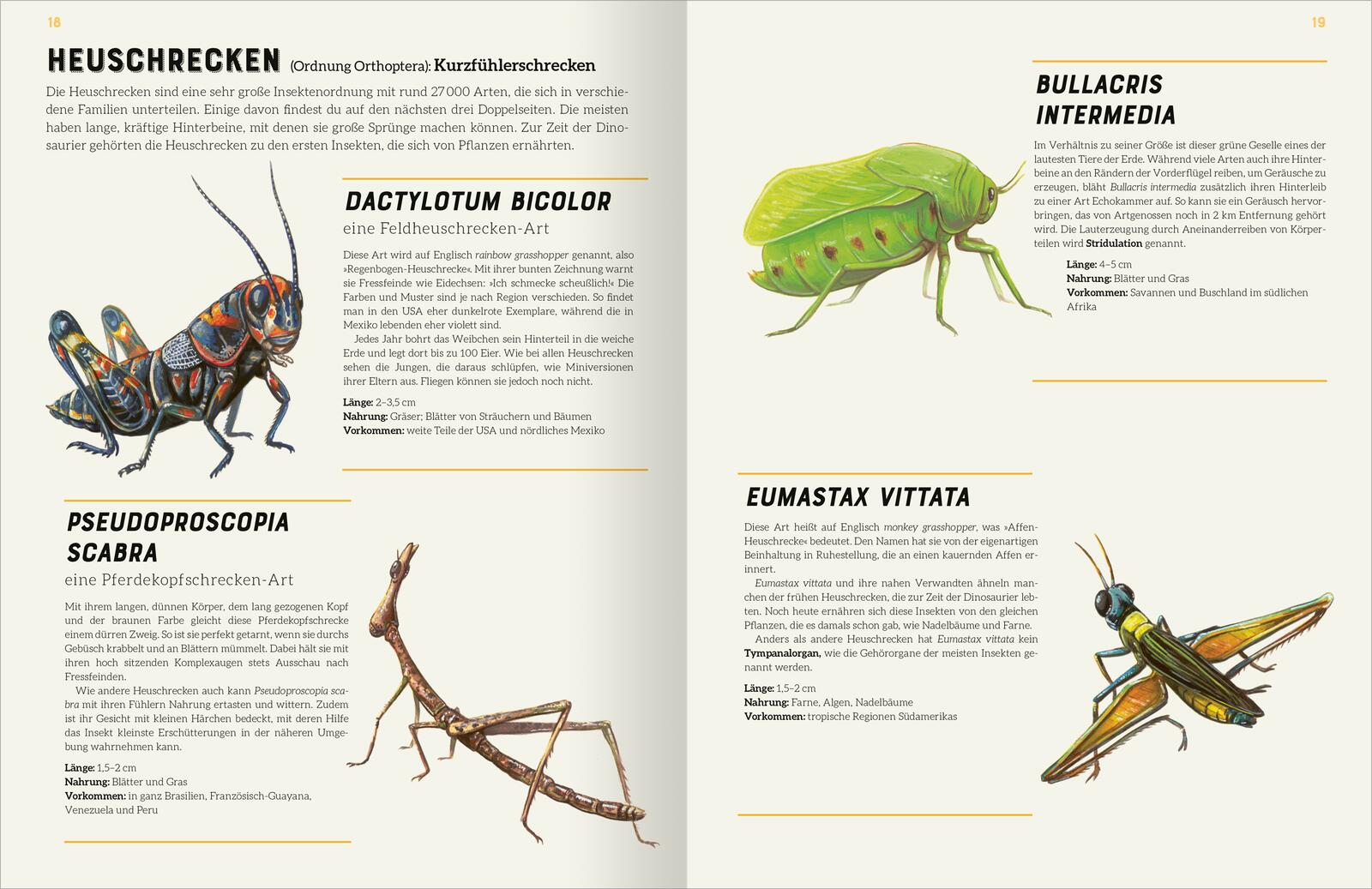 Das große Lexikon der Insekten