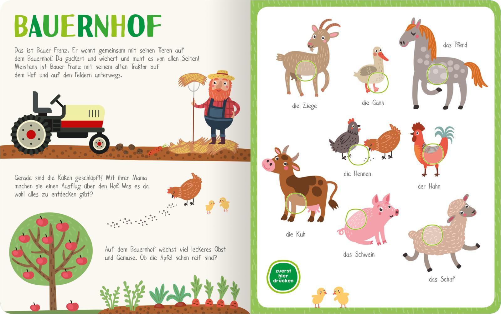 Mein kunterbuntes Soundbuch – Tiere