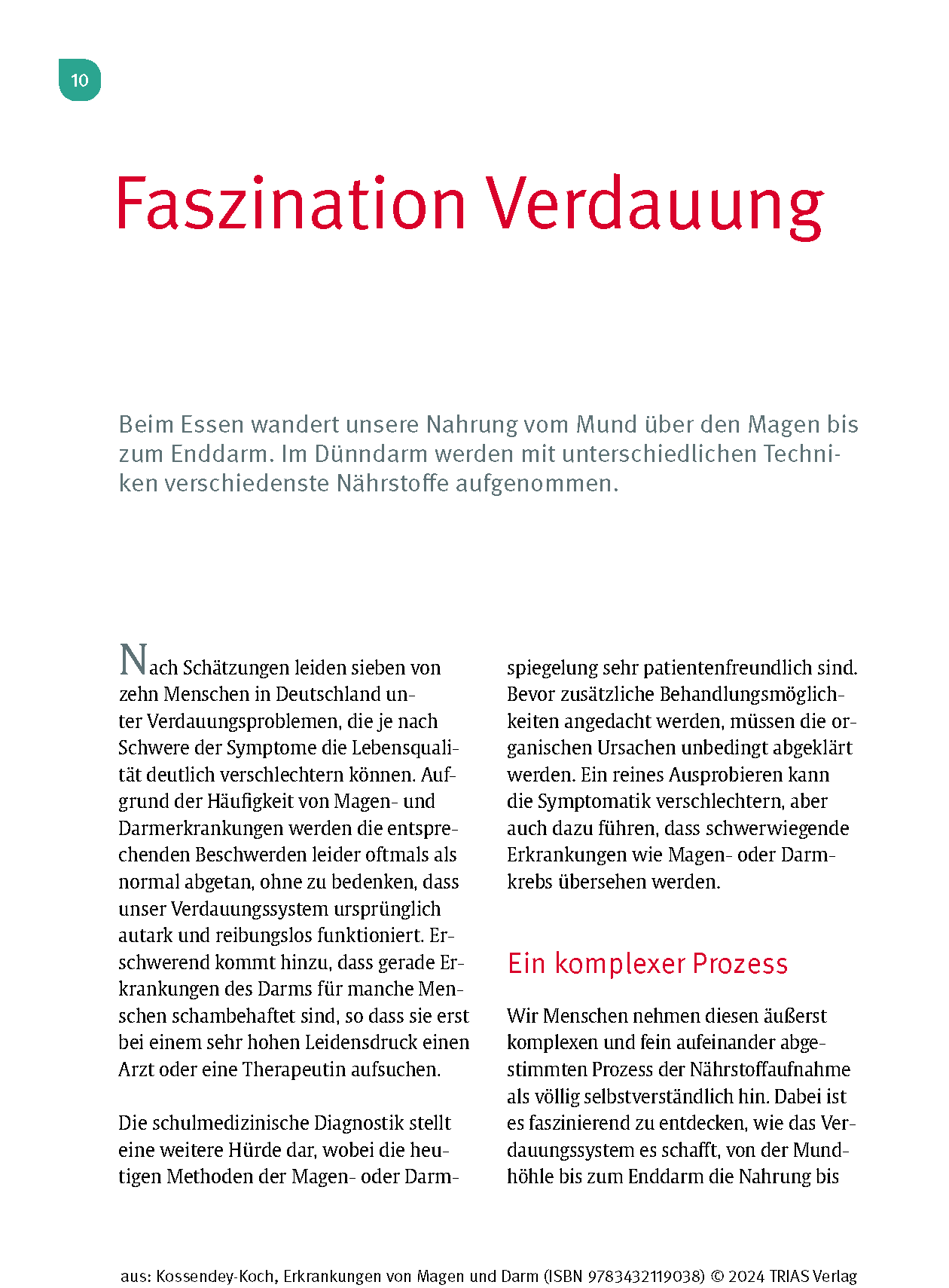 Naturheilpraxis: Erkrankungen von Magen und Darm
