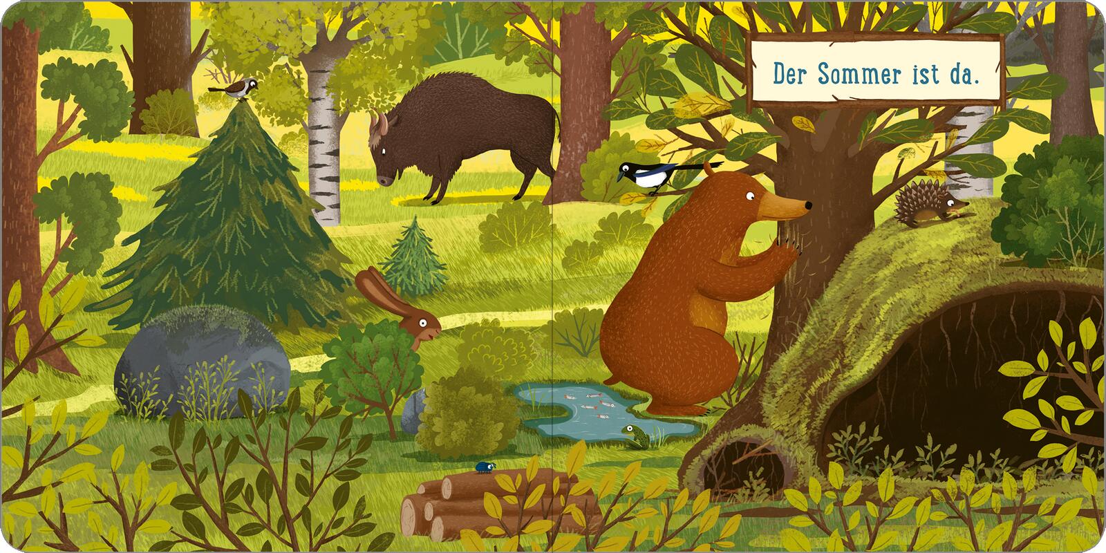 Ein Tag im Wald: Kleiner Bär