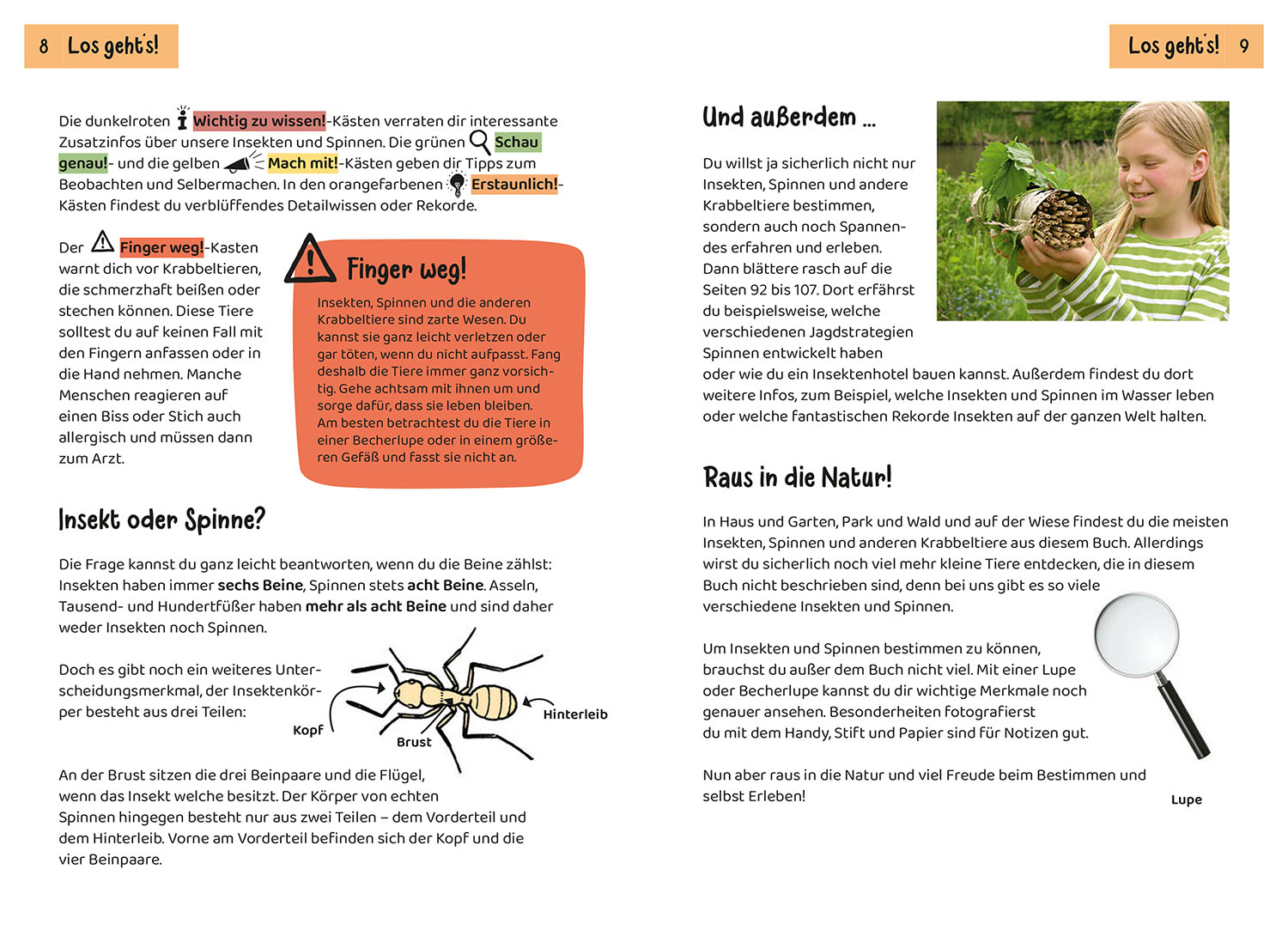 Was krabbelt denn da? Kindernaturführer