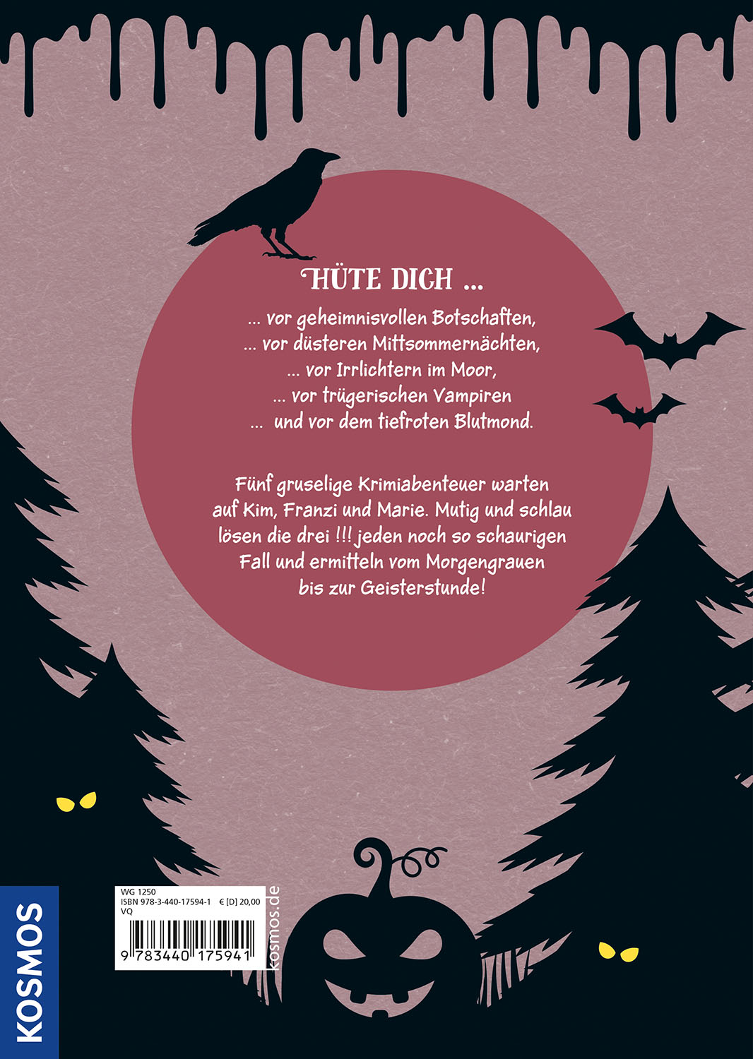 Die drei !!!, Geisterstunde
