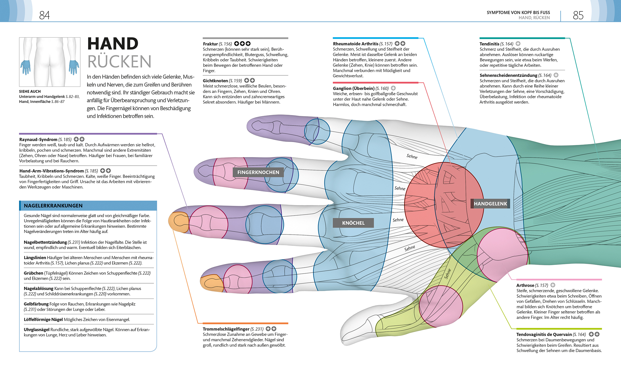 Praxisbuch Selbstdiagnose