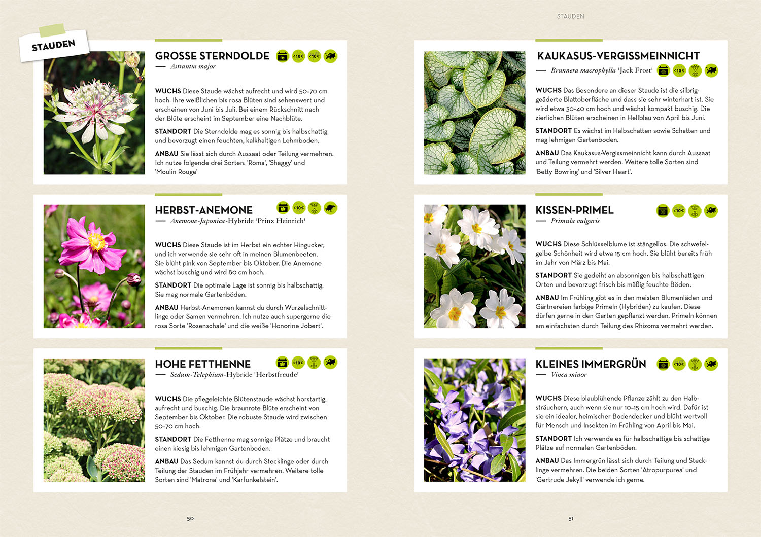 Garten - einfach günstig