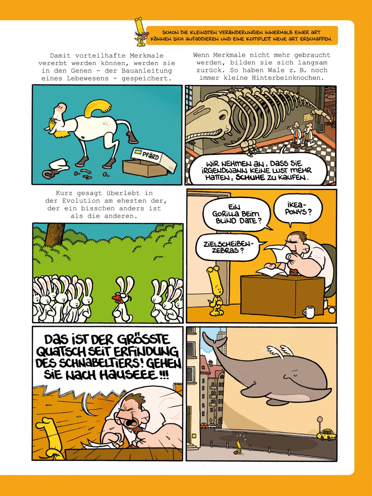 Frag Ferdinand: Natur und Tiere