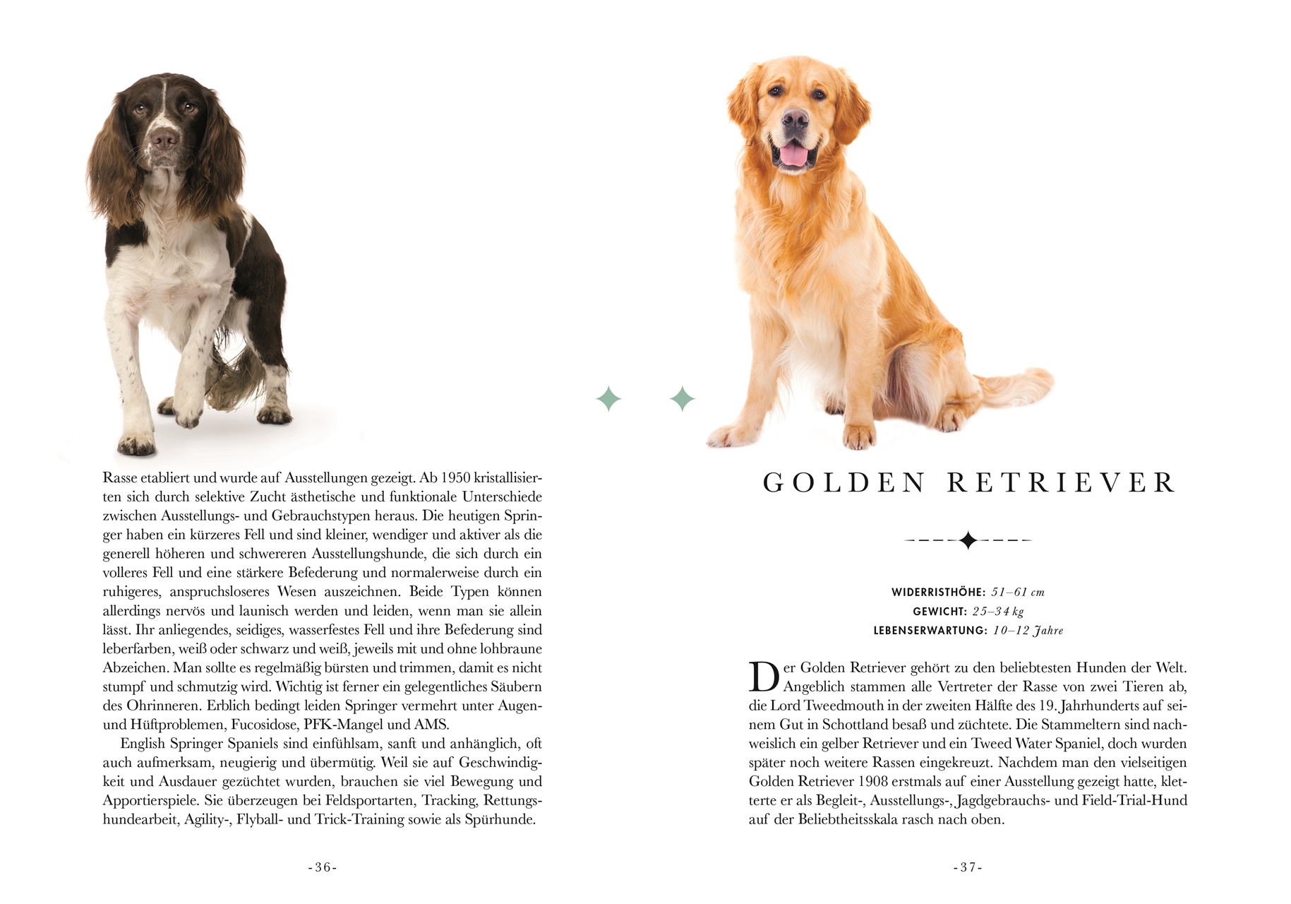 Naturelove. 50 besondere Hunde