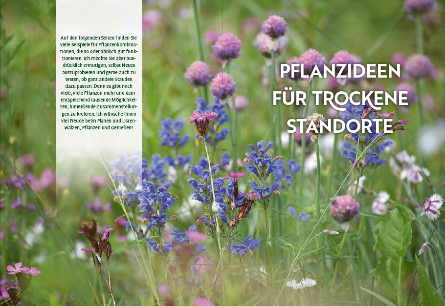 Echte Hitzeprofis