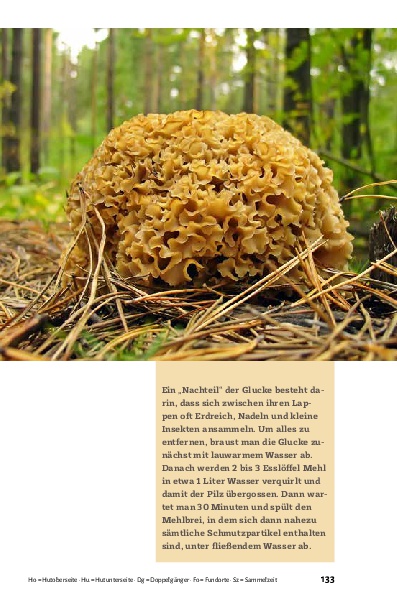 Pilze bestimmen - Der kleine Pilzführer für Einsteiger und Fortgeschrittene
