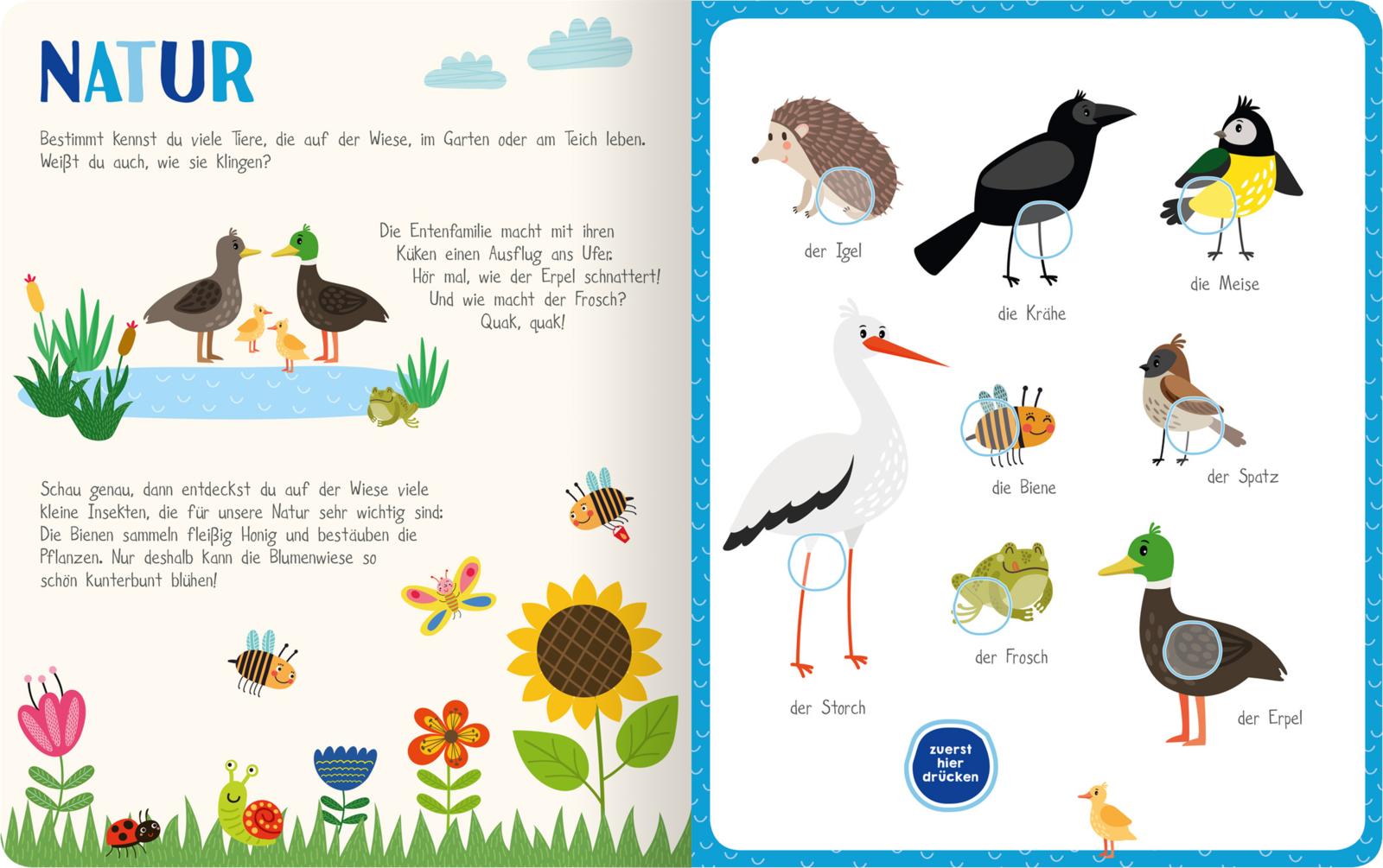 Mein kunterbuntes Soundbuch – Tiere