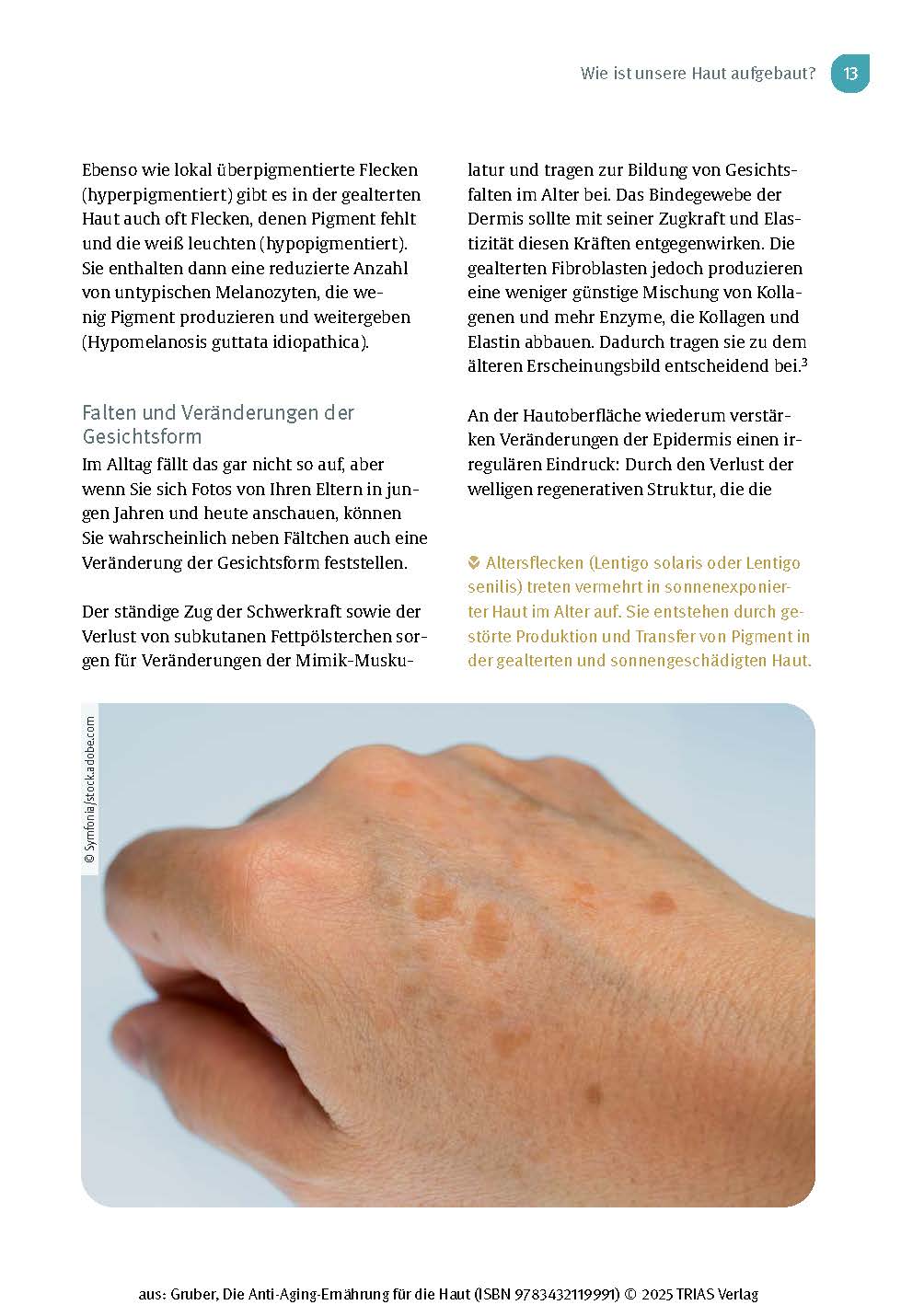 Die Anti-Aging-Ernährung für die Haut