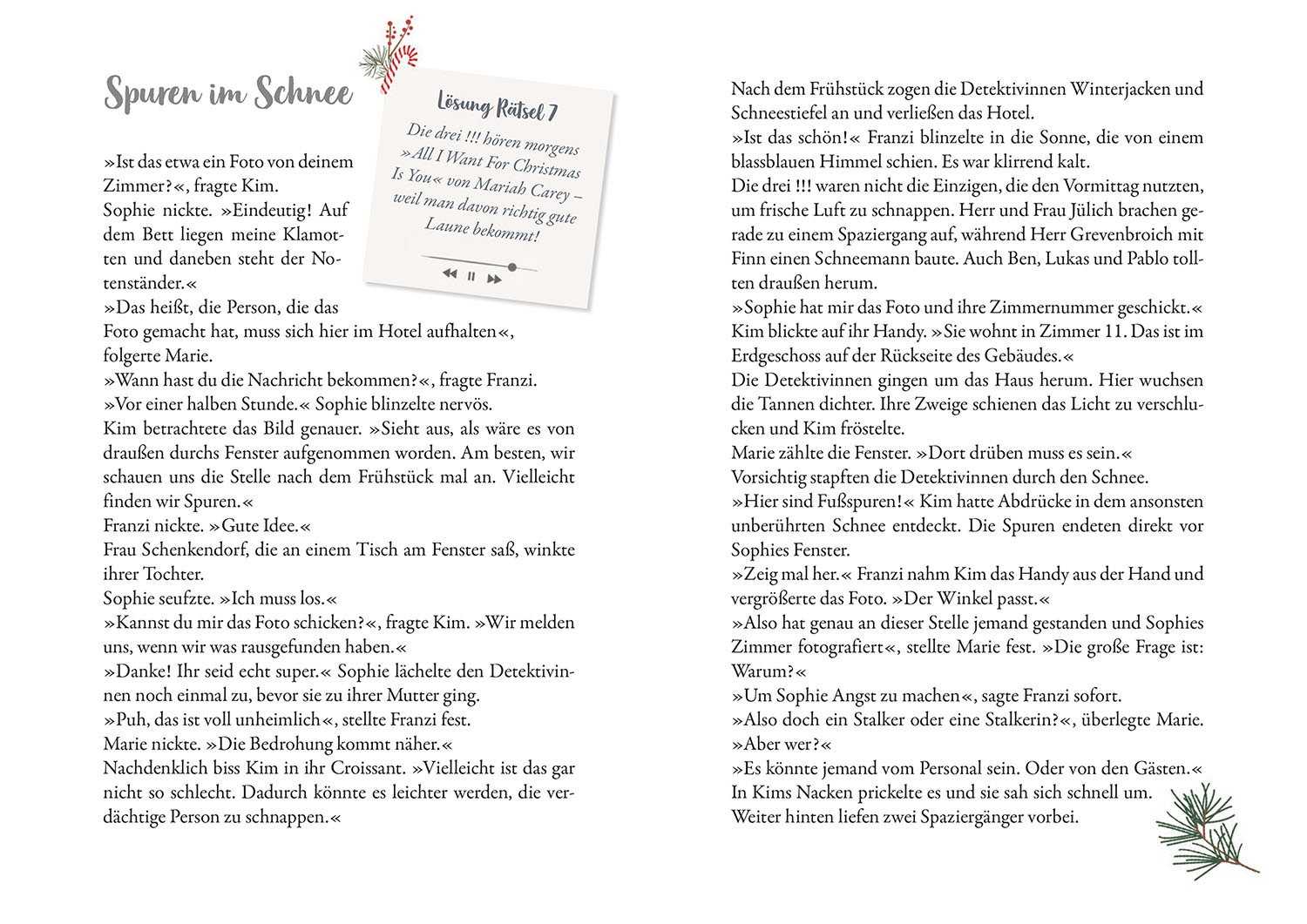 Die drei !!!, Wirbel im Weihnachtshotel
