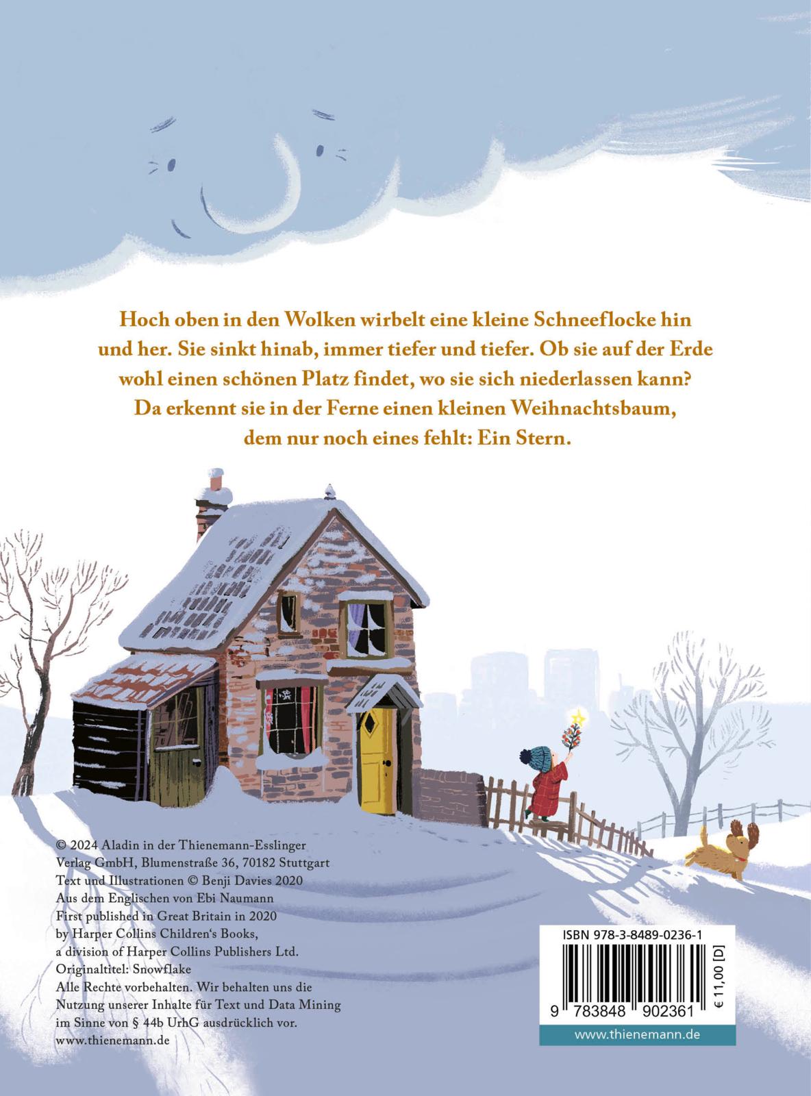 Kleine Schneeflocke