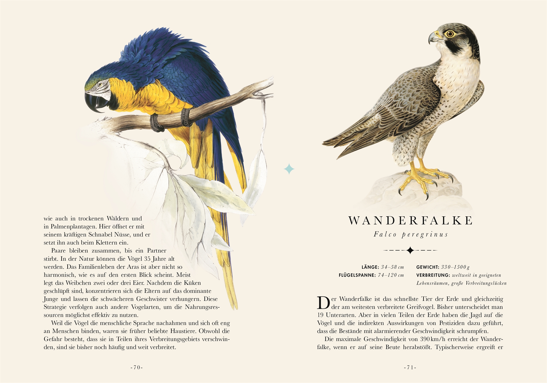 Naturelove. Die 50 schönsten Vögel der Welt