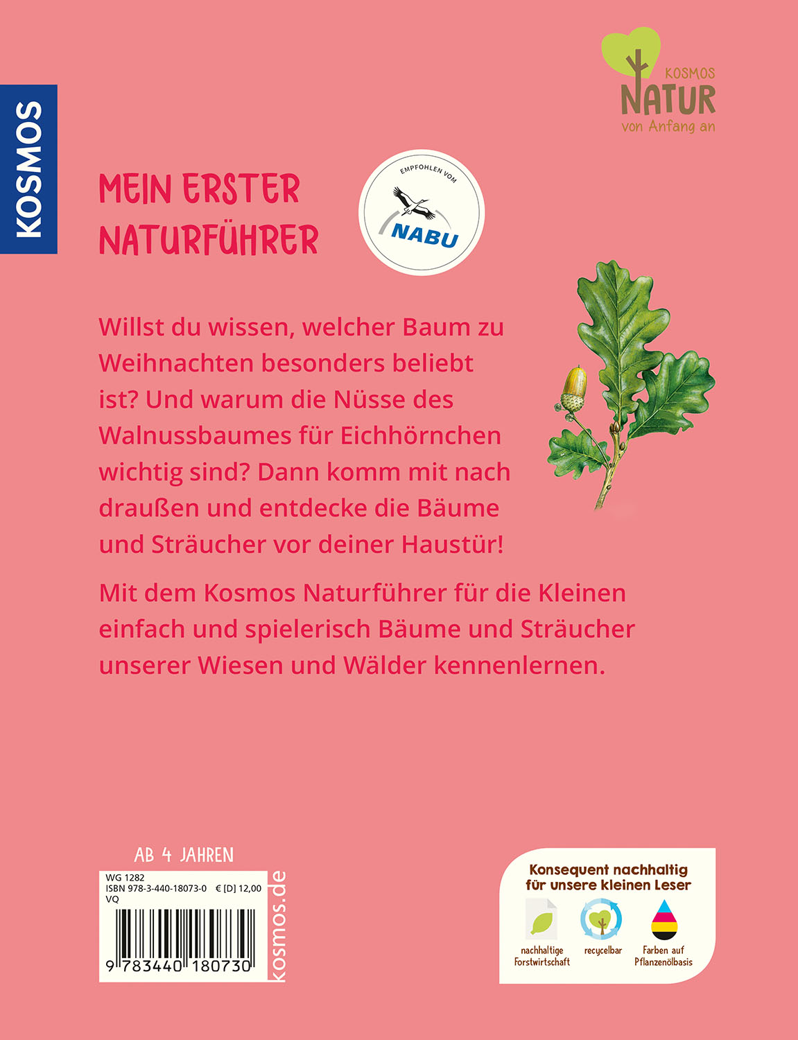 Mein erster Naturführer, Welcher Baum ist das?