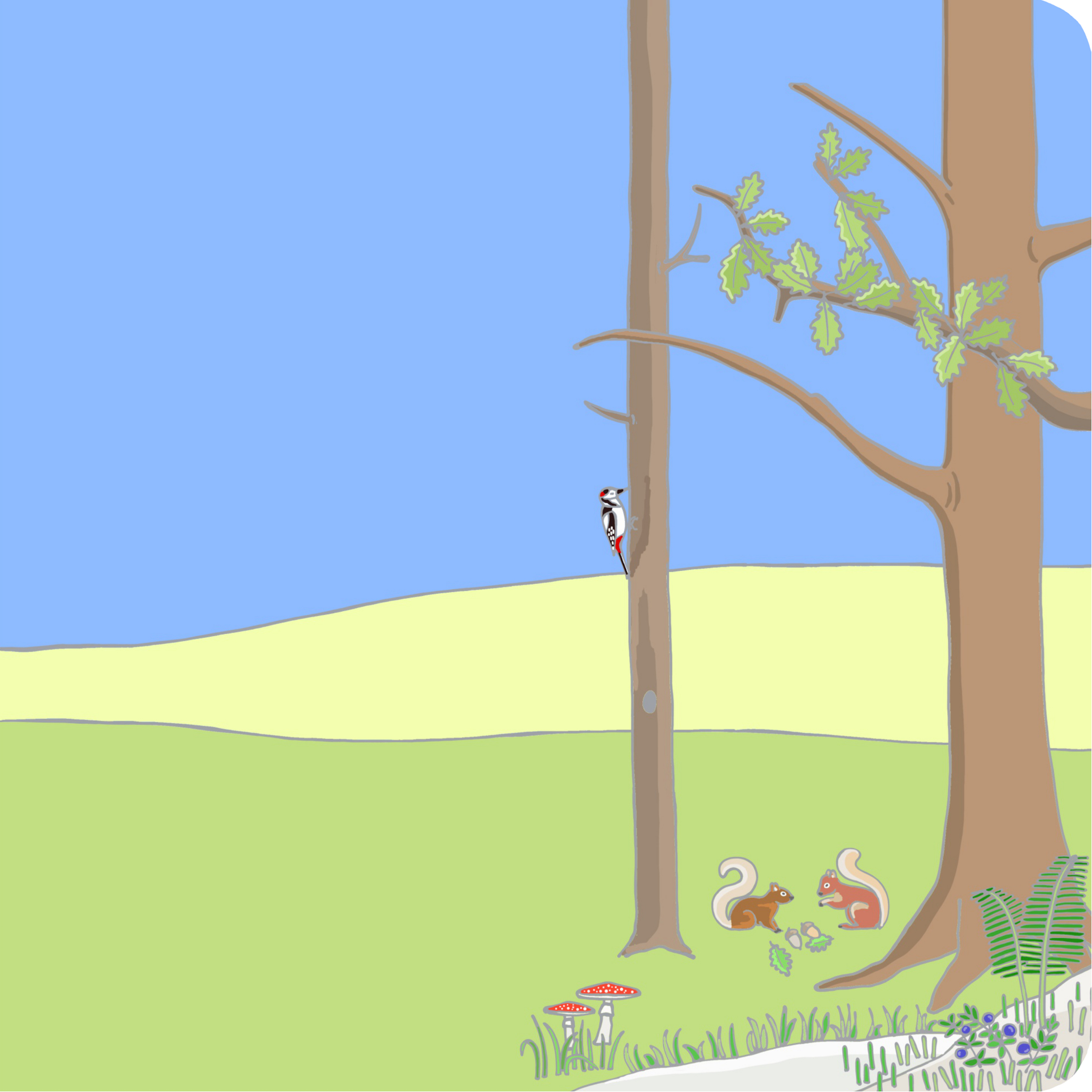 Ein-Bild-Wimmelbuch ab 1 Jahr - Wald