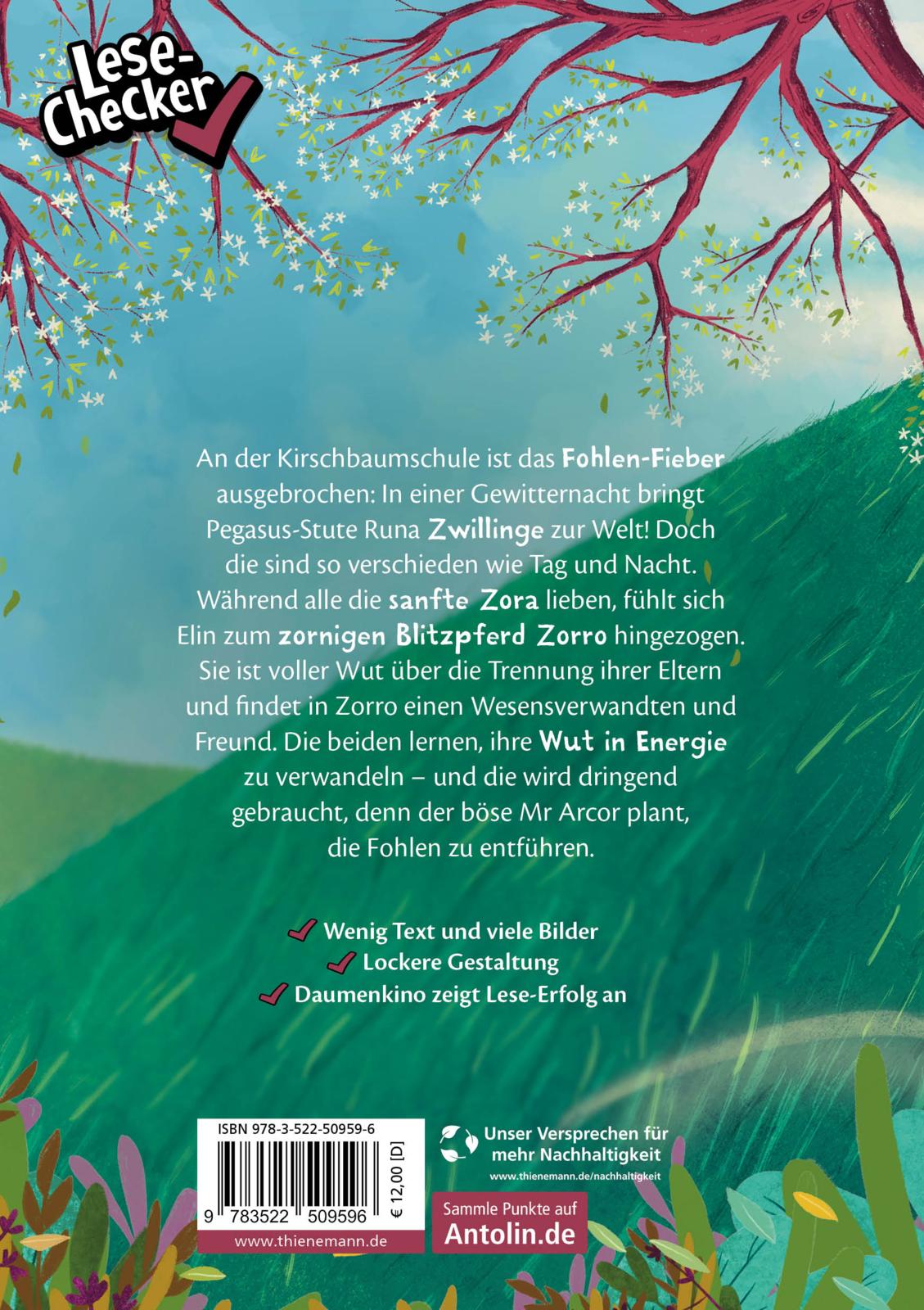 Die Schule der Herzenspferde 3: Zorro & Elin