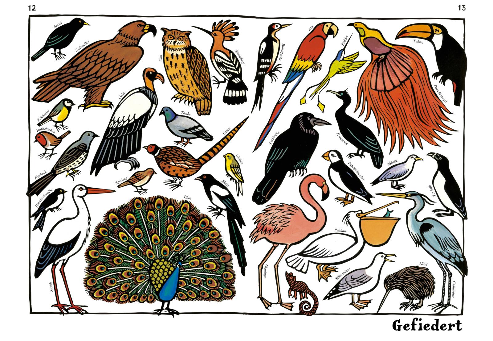 Zoo-ologie