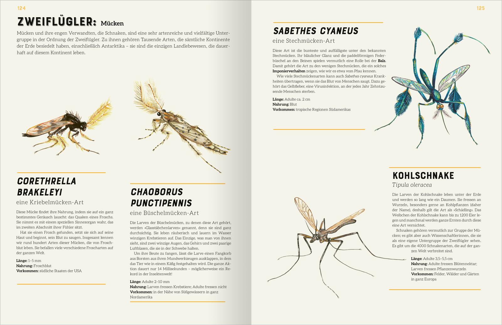 Das große Lexikon der Insekten