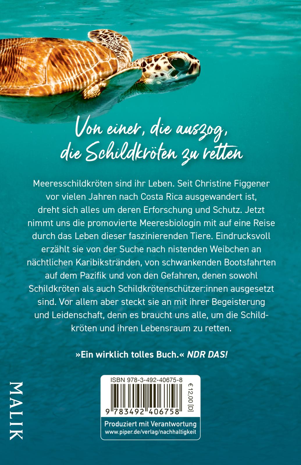 Meine Reise mit den Meeresschildkröten