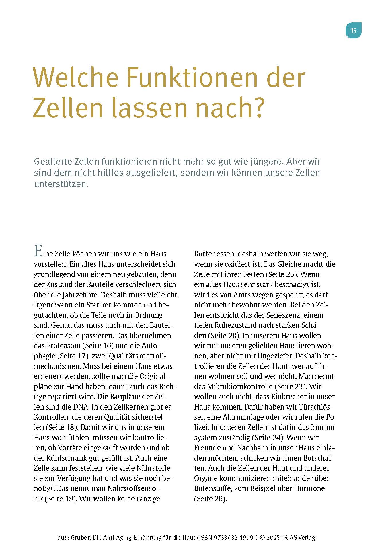 Die Anti-Aging-Ernährung für die Haut