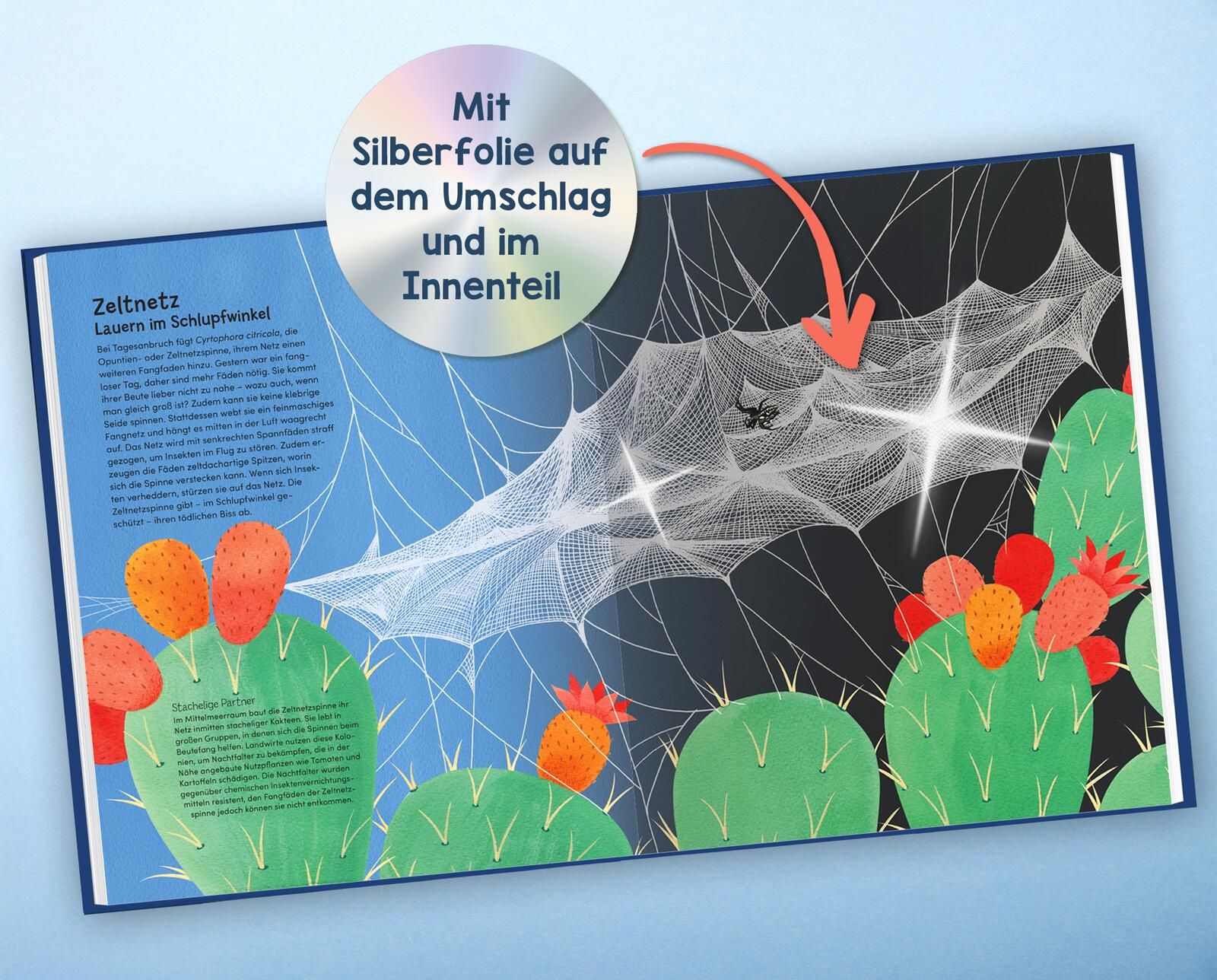 Wunderwelt der Spinnennetze