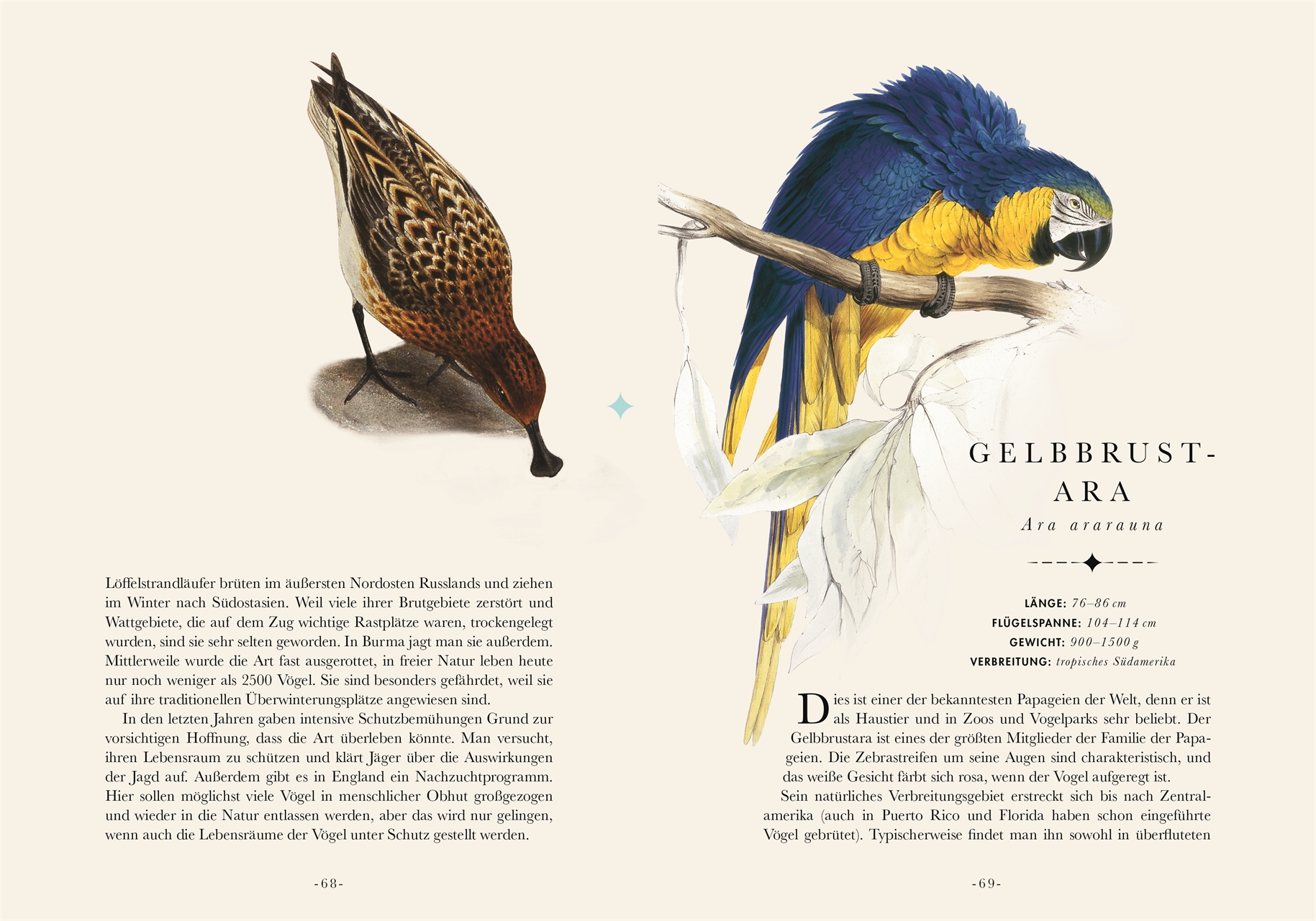 Naturelove. Die 50 schönsten Vögel der Welt