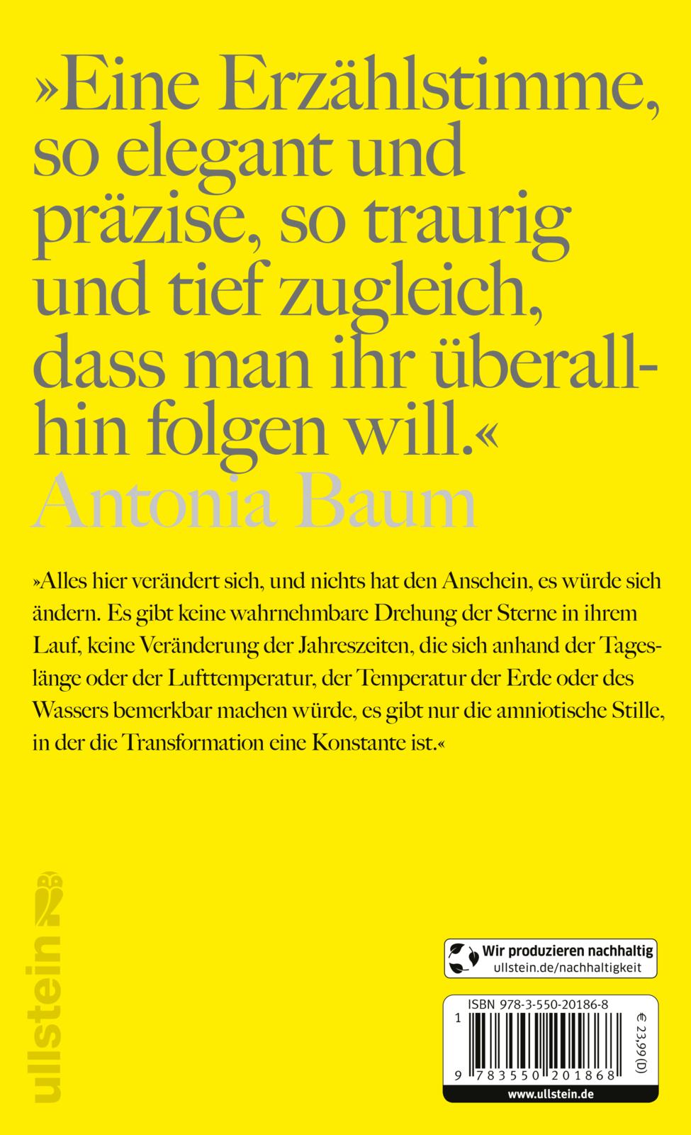 Wie die Vögel unter dem Himmel