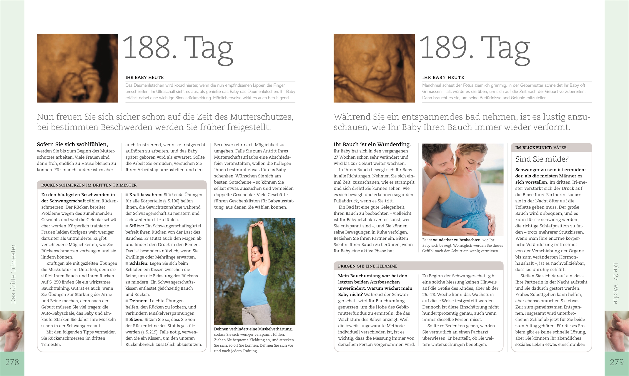 Alles über meine Schwangerschaft Tag für Tag
