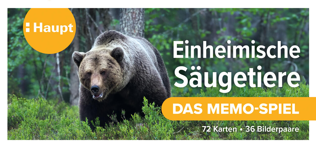 Einheimische Säugetiere – das Memo-Spiel