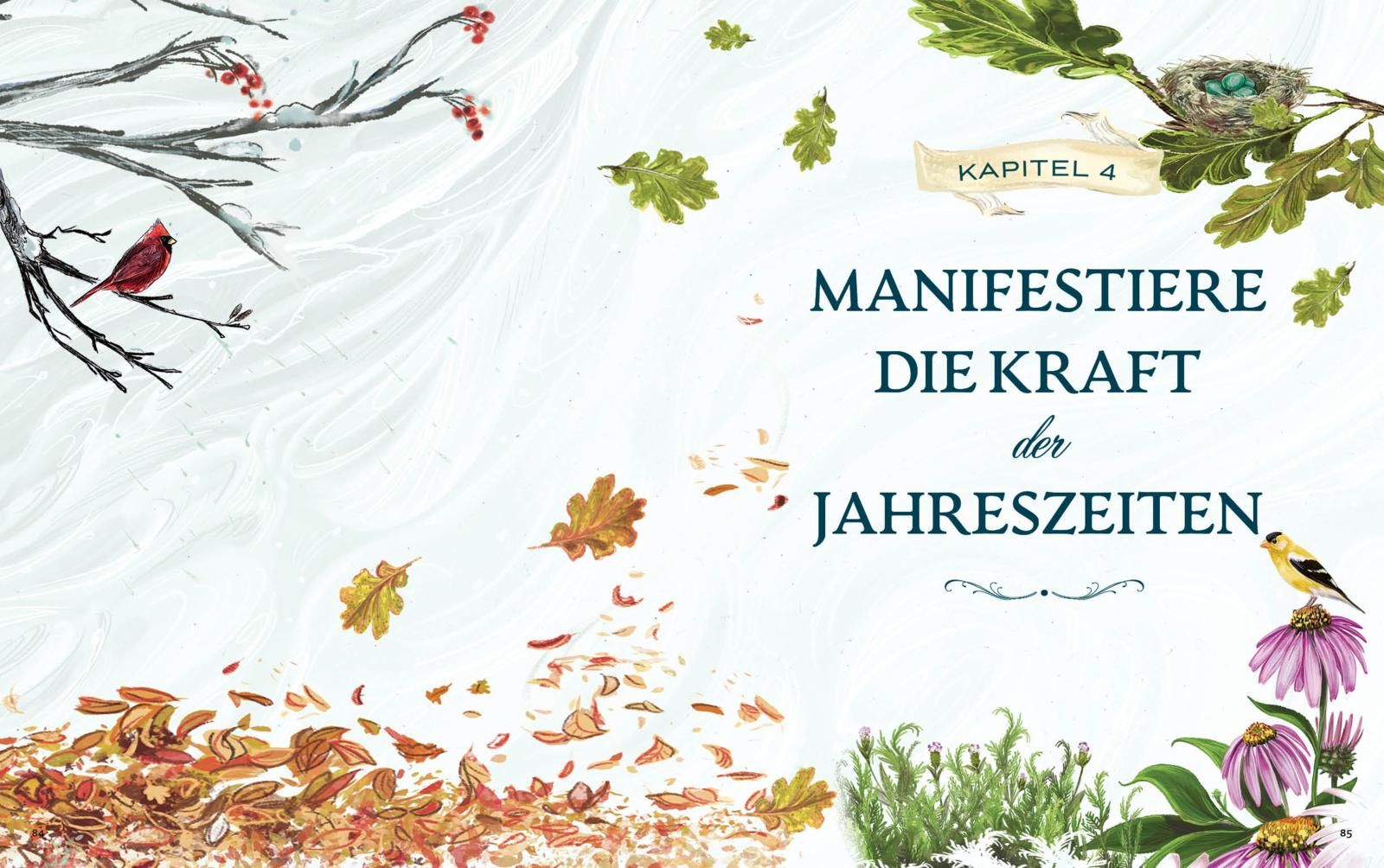 Grüne Magie - eine illustrierte Reise