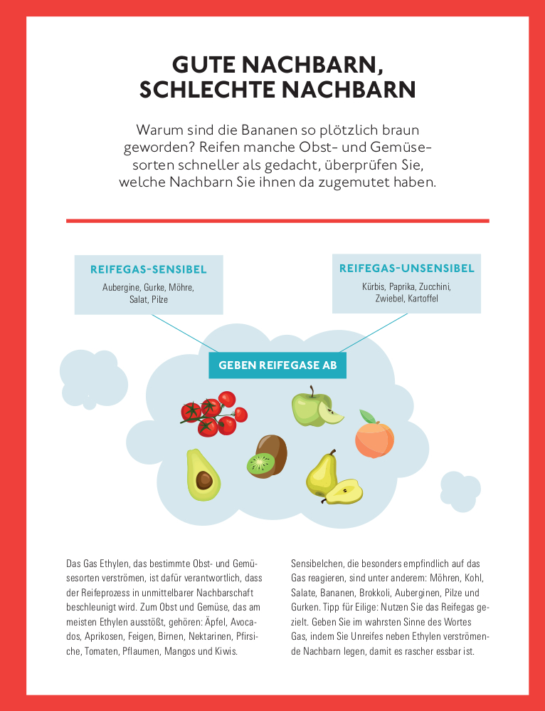 Der Stiftung Warentest Haushalts-Check