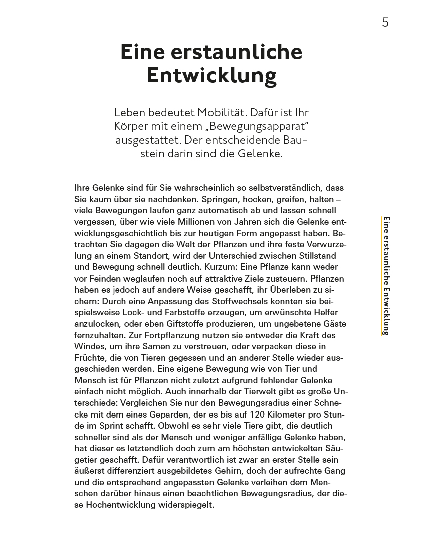 Fitte und starke Gelenke